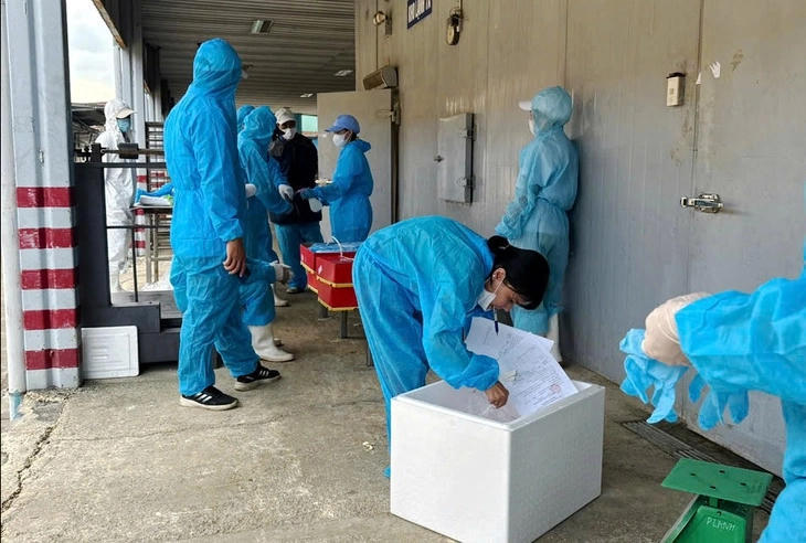 Lực lượng chức năng tiến hành lấy mẫu thực phẩm tại kho lạnh của Canfoco. Ảnh: CTV.