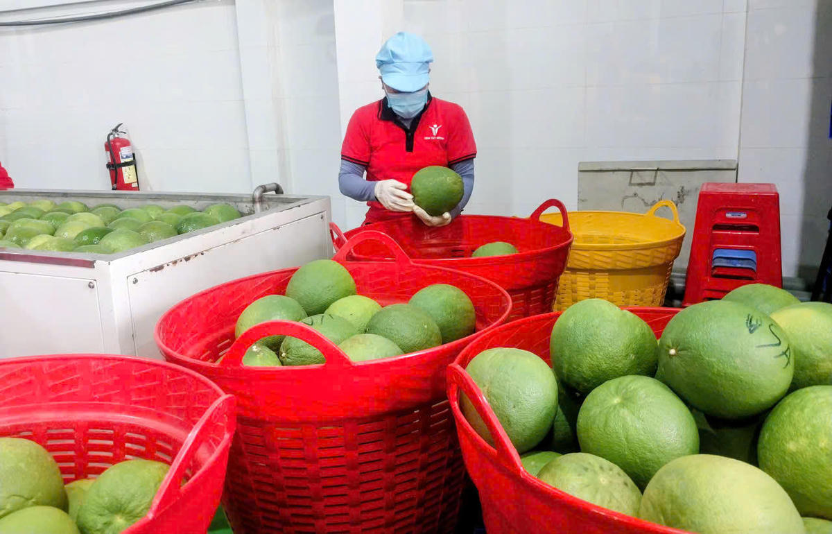 Nông sản Việt Nam đang có mặt tại thị trường các nước. Ảnh: S.X.