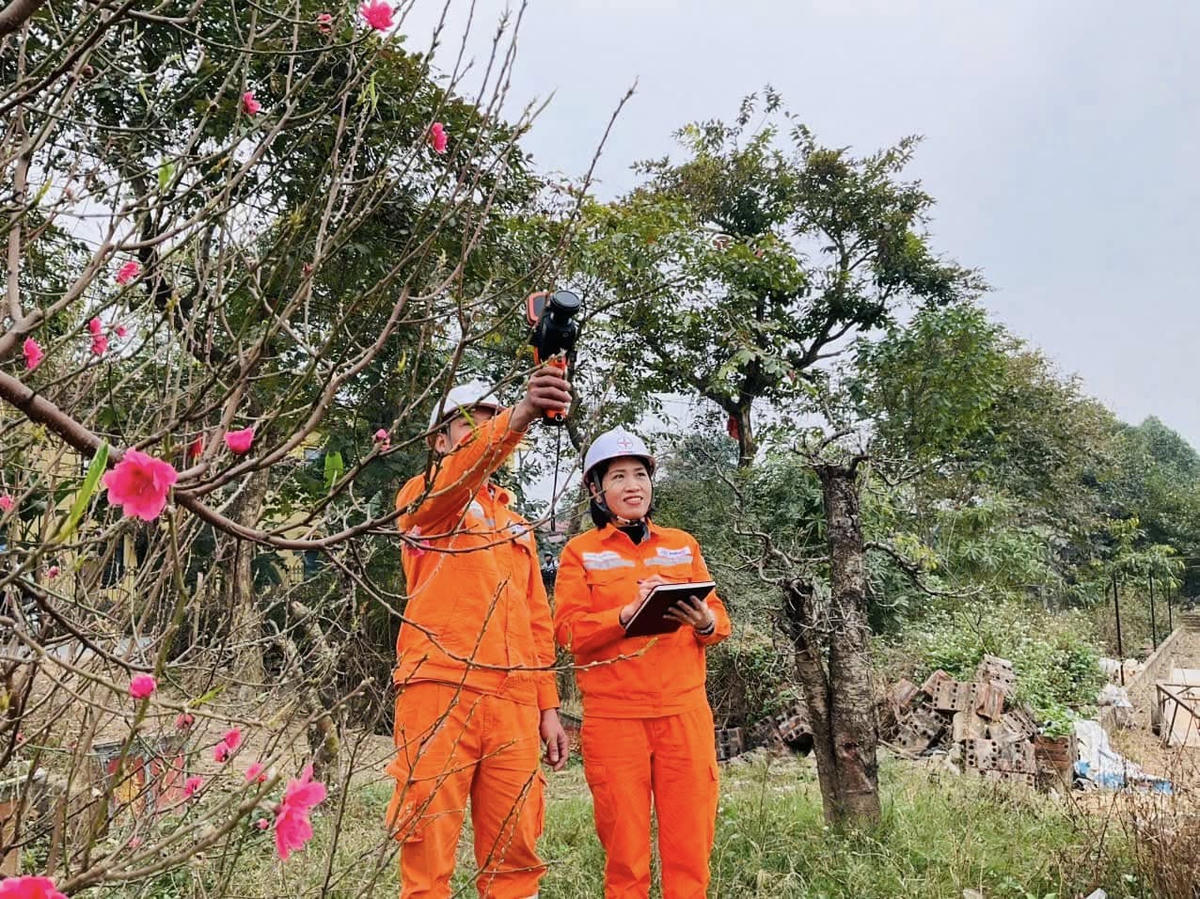 Lời chào năm mới từ những người giữ dòng điện miền Bắc