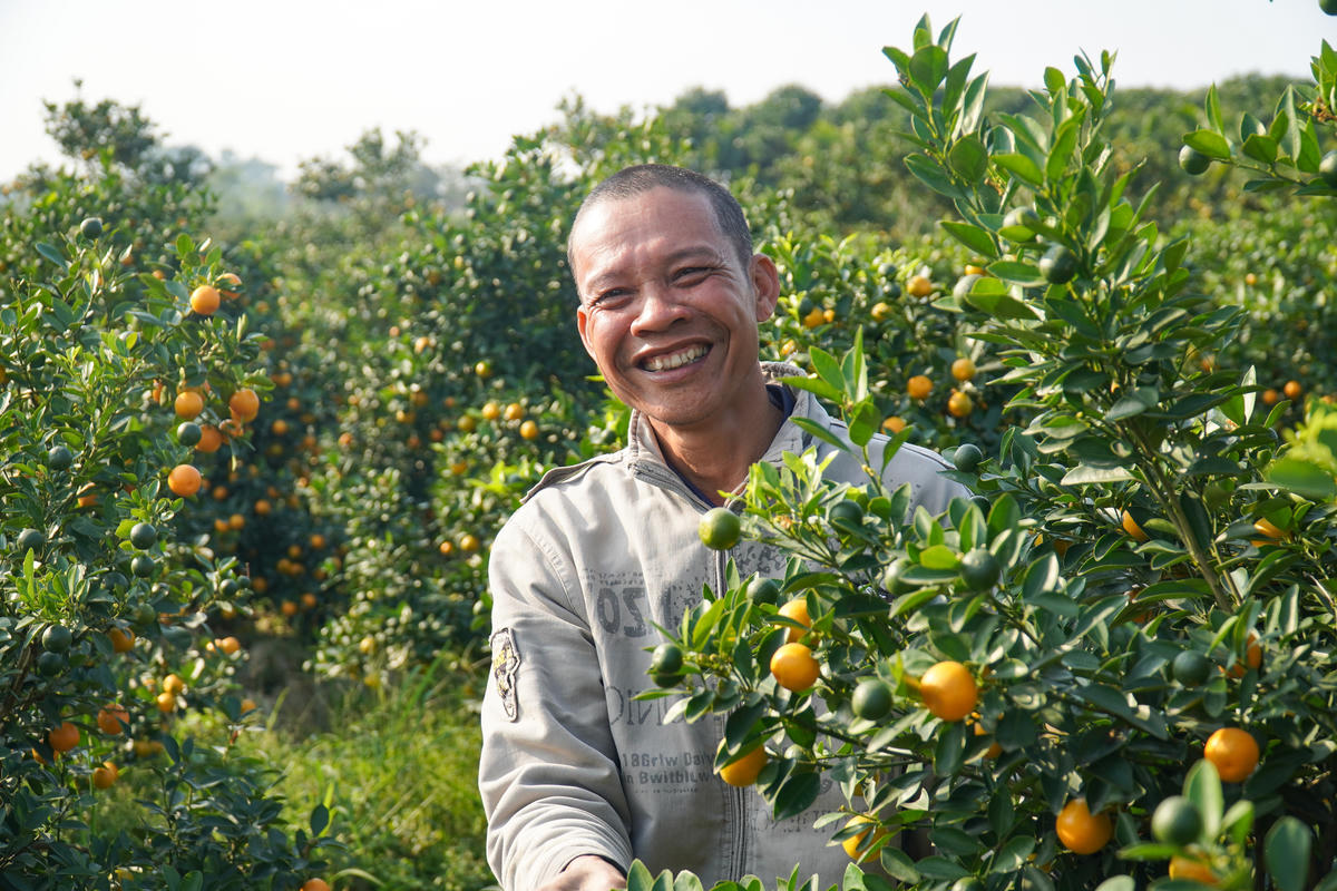 Cây quất đã làm đổi thay đời sống của nhiều hộ dân xã Hợp Tiến. Ảnh: Đình Minh