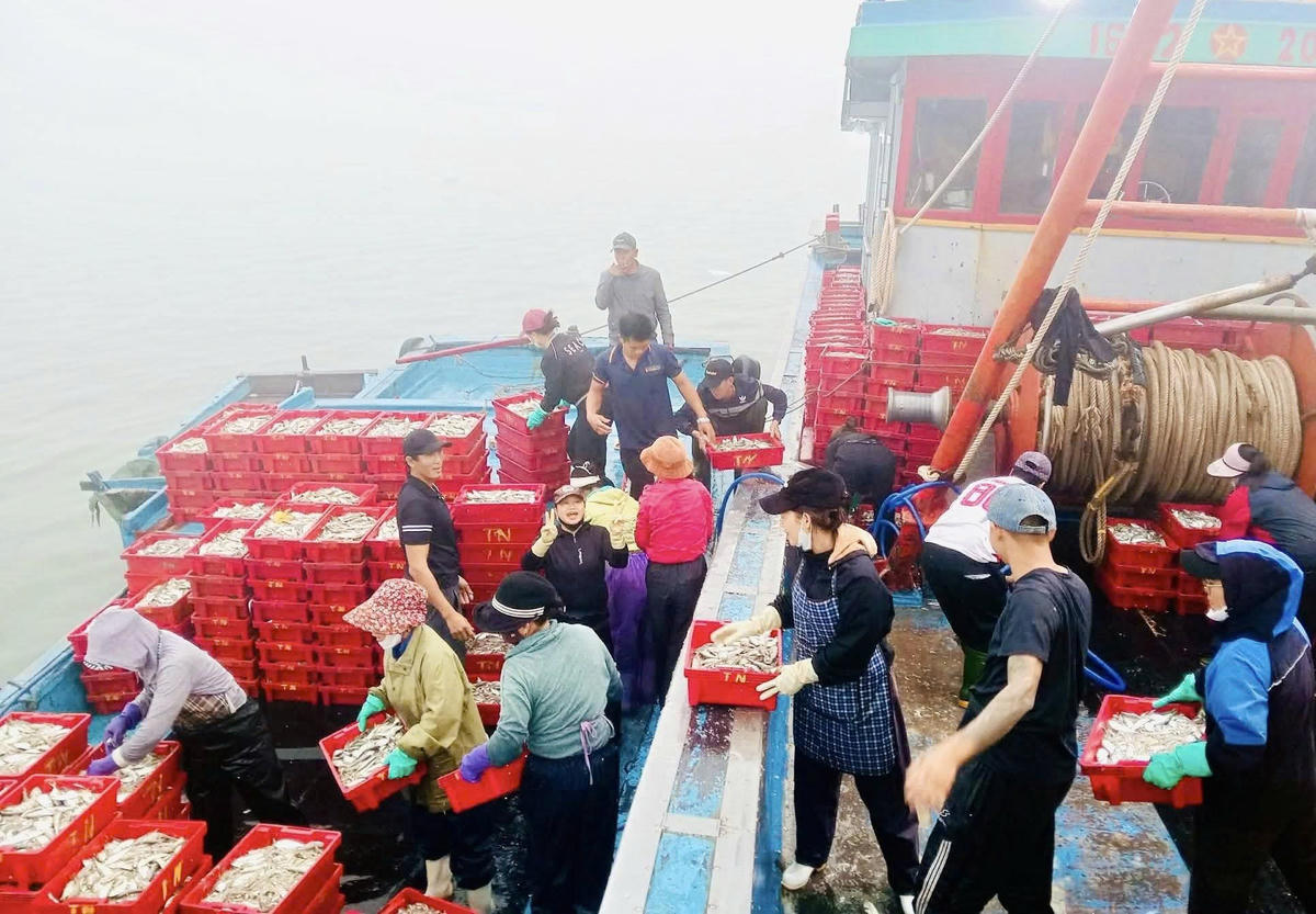 Đầu năm, ngư dân bội thu từ “lộc biển”