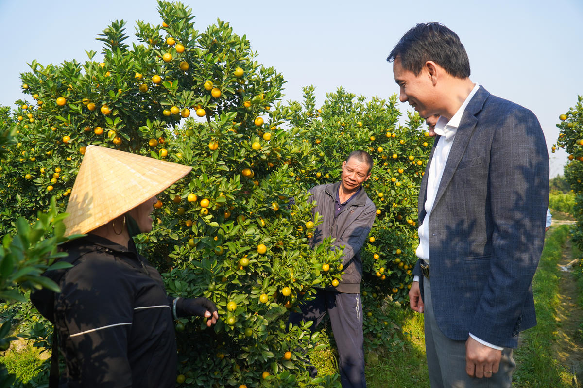 Ông Lê Phú Quốc - Bí thư Đảng ủy xã Hợp Tiến động viên người trồng quất vượt qua khó khăn, sẵn sàng cho vụ quất mới năm 2026. Ảnh: Đình Minh