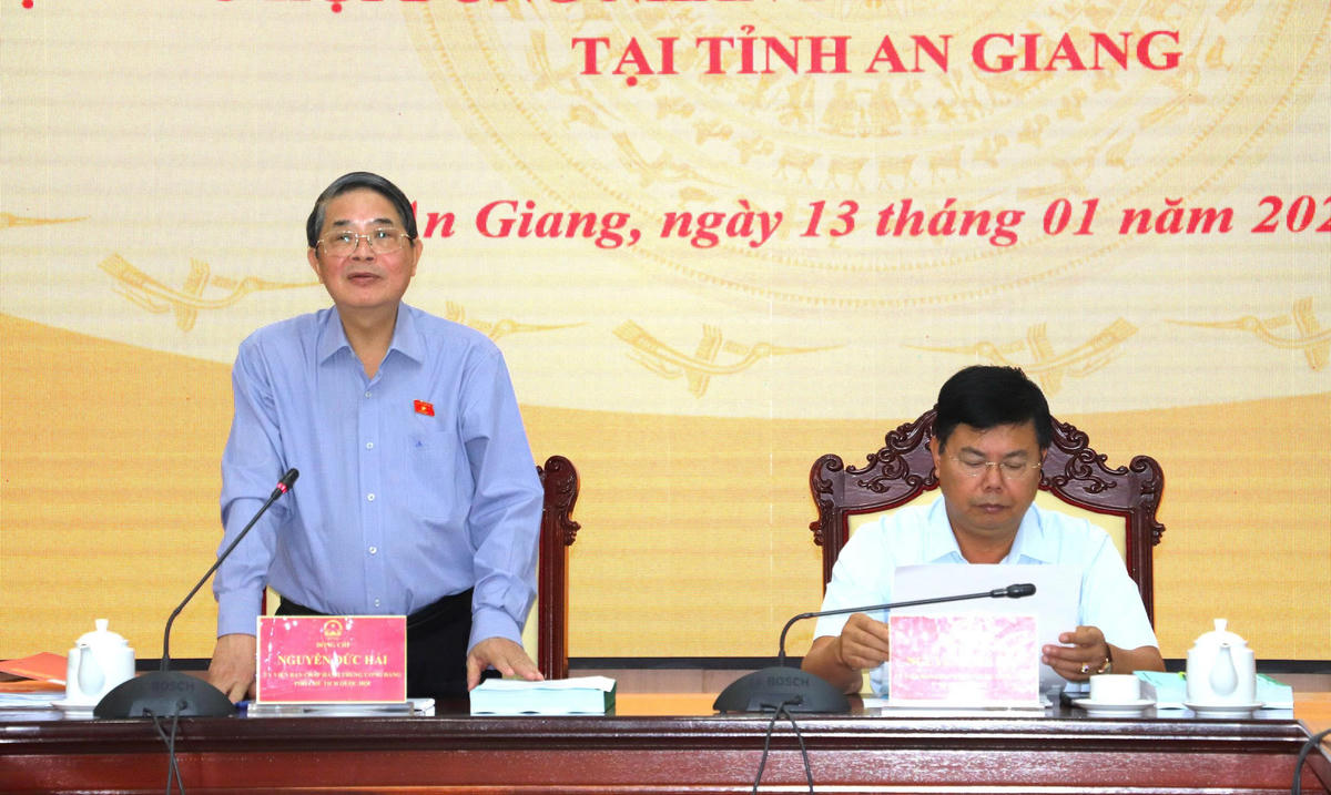 Phó Chủ tịch Quốc hội Nguyễn Đức Hải phát biểu tại buổi làm việc. Ảnh: Phương Vũ.