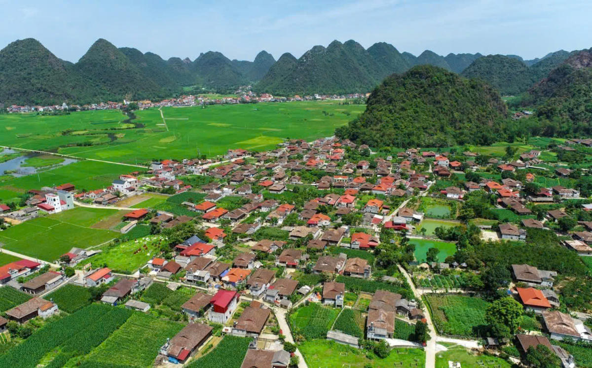 Tín chỉ các-bon được ví như kho báu xanh.