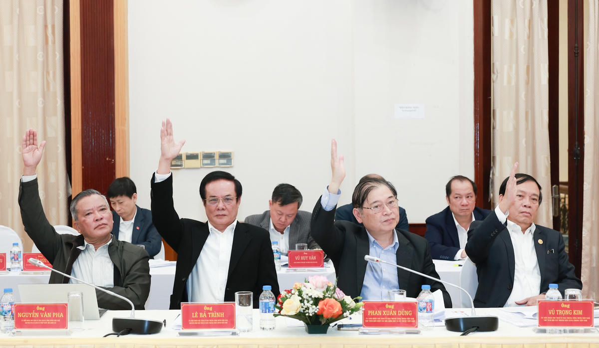 Các đại biểu biểu quyết tại Hội nghị.