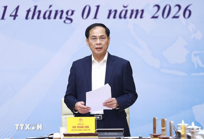 Phó Thủ tướng Bùi Thanh Sơn phát biểu. (Ảnh: Dương Giang/TTXVN)