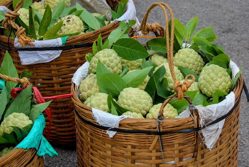 Na Chi Lăng trở thành sản phẩm nông nghiệp thế mạnh gắn với tên địa phương.Ảnh: Báo Lạng Sơn