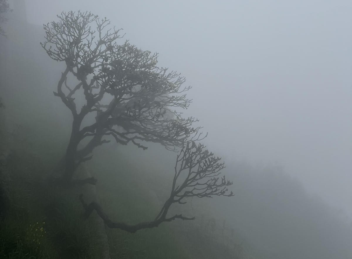 Miền Bắc sắp rét đậm, rét hại. Ảnh: T.N