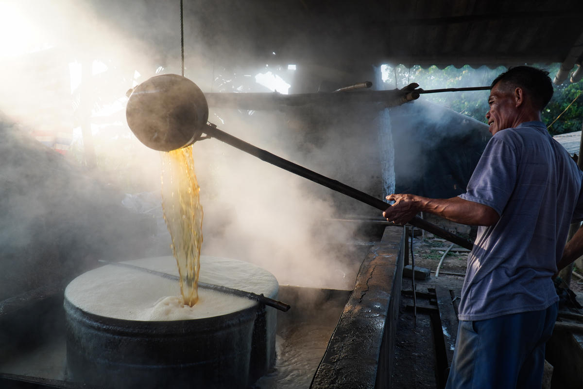Gia đình ông Đinh Văn Trung mỗi vụ nấu mật dùng khoảng 300 tấn mía, từ đó cho ra lò khoảng 30 tấn mật. 'Sau khi trừ hết các khoản chi phí và công xá cho người làm, chúng tôi thu về khoảng 100 triệu đồng', ông Trung nói.