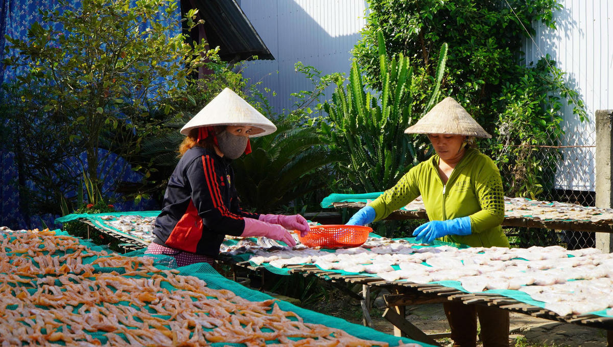 Công đoạn phơi khô cá lóc của một cơ sở sản xuất cá khô ở xã Phú Thọ. Ảnh: Trung Ngãi.