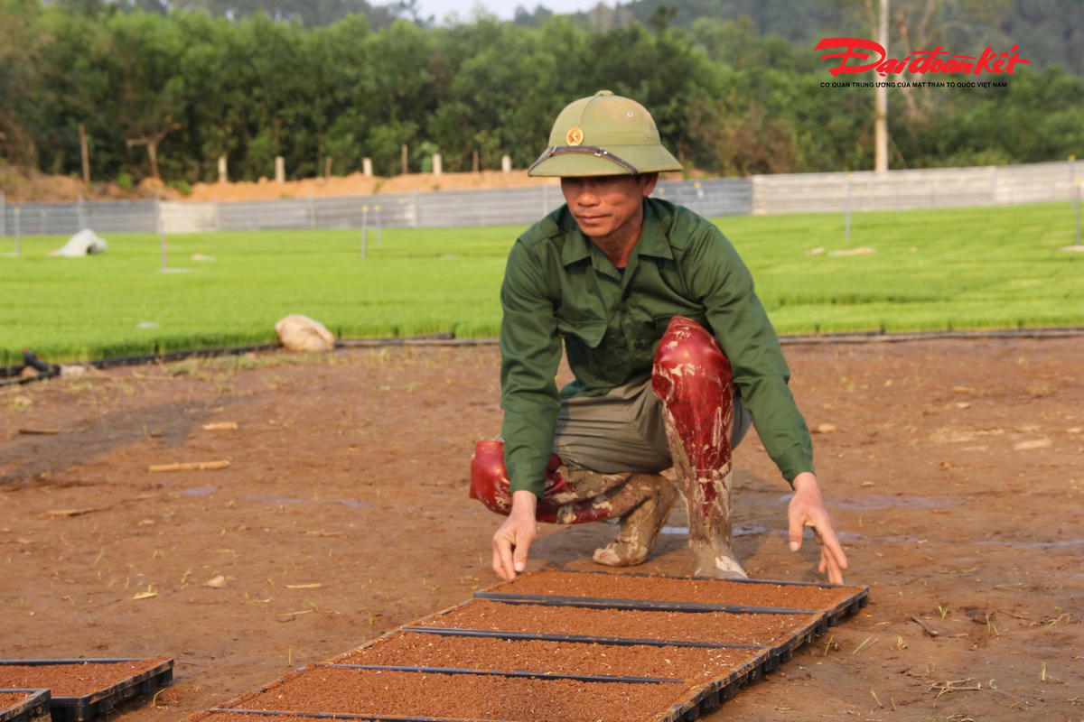 Sinh ra và lớn lên cùng đồng ruộng, anh Tố gắn bó với cây lúa từ thuở nhỏ. Để mưu sinh, anh từng làm nhiều nghề khác nhau ngay trên quê hương mình. Vài năm trở lại đây, nhận thấy nhu cầu thuê máy cấy ngày càng tăng, anh đầu tư máy móc đi cấy thuê cho bà con. Ảnh: ĐB
