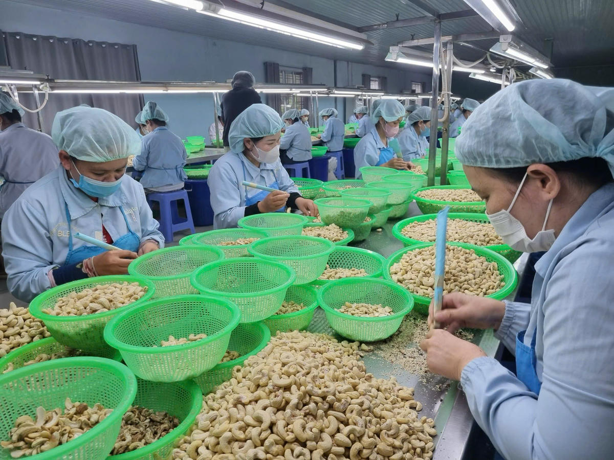 Xuất khẩu tiếp tục là một trong những động lực cho tăng trưởng.	 Ảnh: S.X.