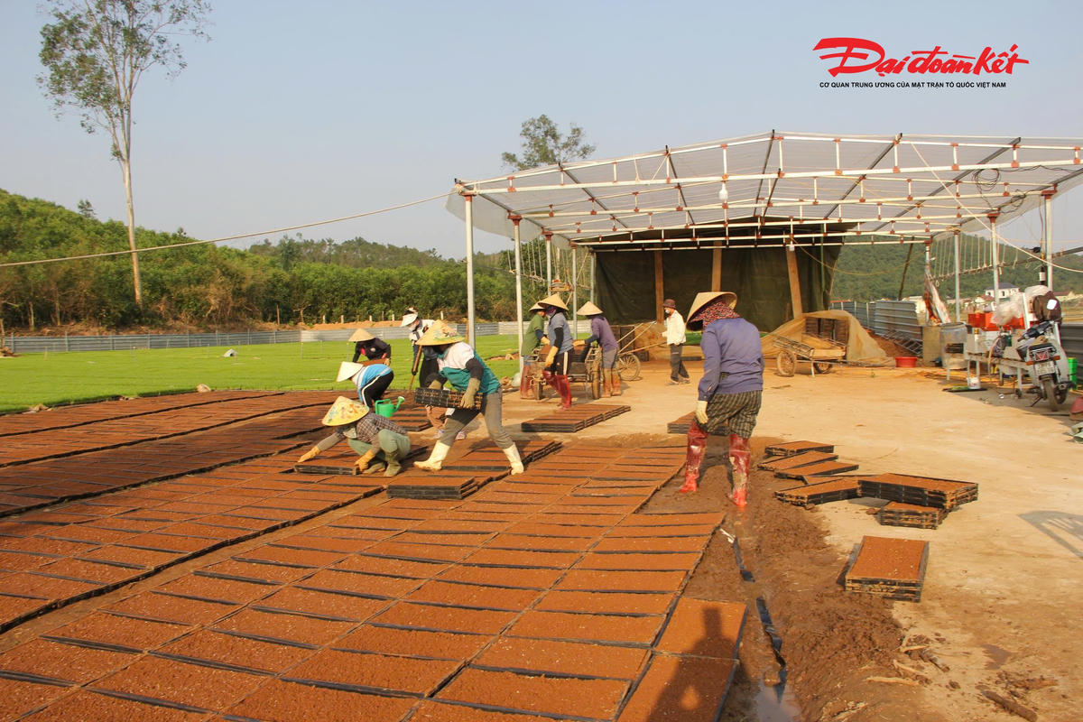 Không chỉ mang lại hiệu quả kinh tế cho người dân, mô hình của người nông dân Võ Văn Tố còn giải quyết việc làm thường xuyên cho khoảng 20 lao động địa phương, góp phần giảm chi phí sản xuất, giải phóng sức lao động nông thôn và nâng cao giá trị ngành trồng lúa. Ảnh: ĐB