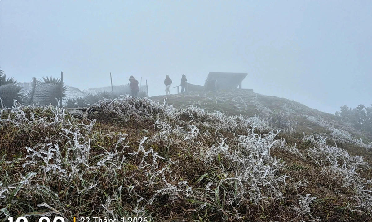 Càng về gần trưa, băng giá càng xuất hiện dày đặc. Ảnh Q.H.
