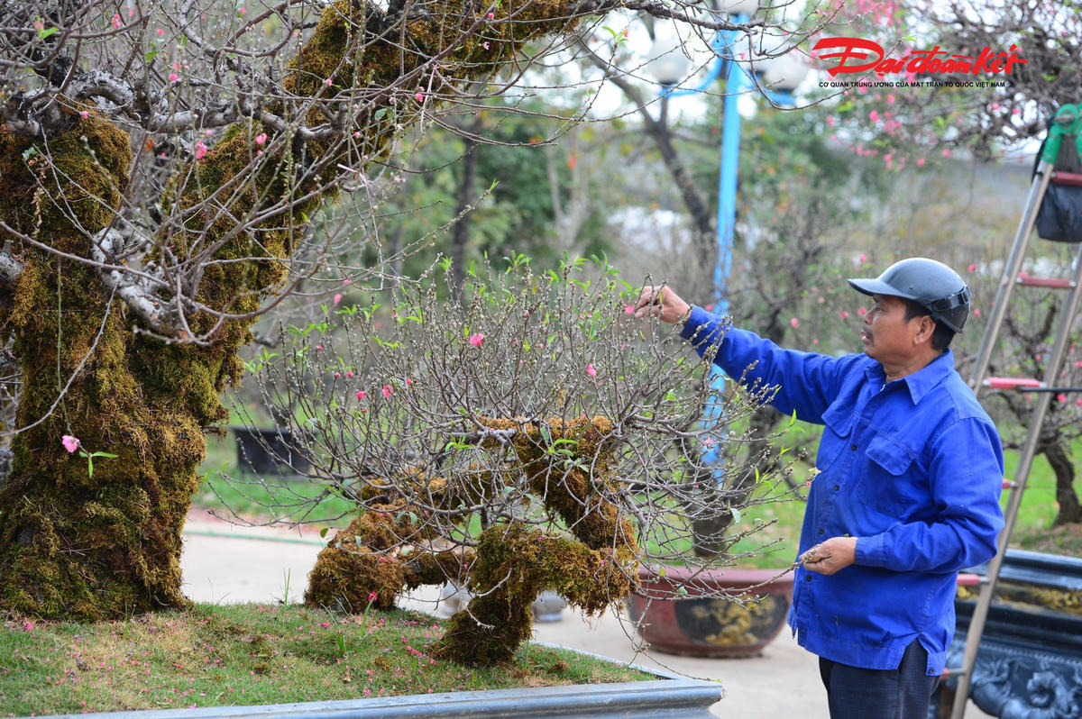Vẻ đẹp trầm mặc, nhuốm màu thời gian của những thân cây cổ thụ hòa quyện cùng sức sống non xanh của lớp rêu phong đã tạo nên một sức hút riêng biệt, khó trộn lẫn.