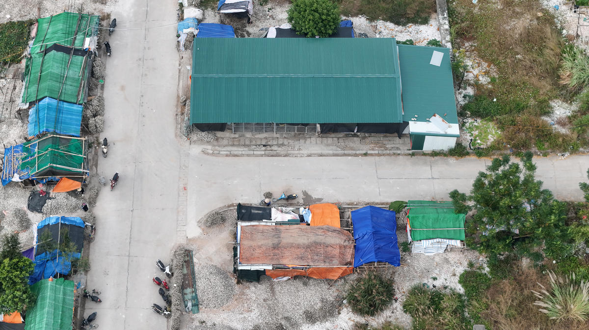 Hoạt động sơ chế hàu tại nhà xưởng tại phường Hà An