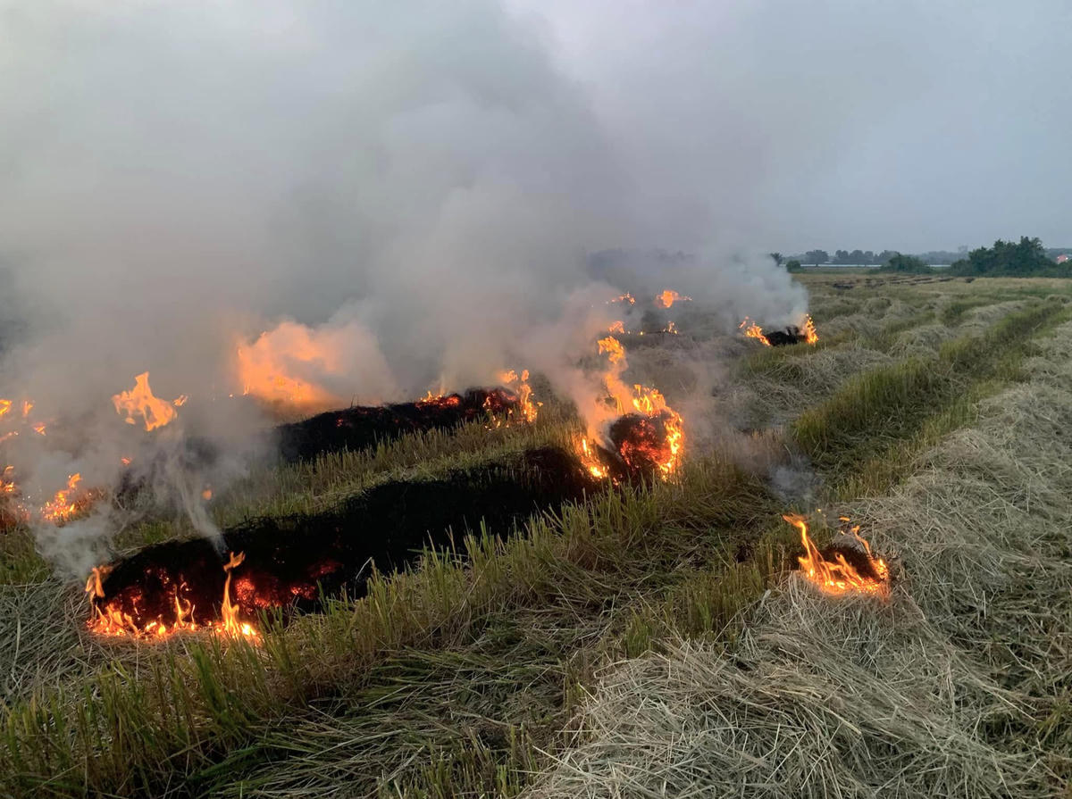 Để rơm rạ không còn là gánh nặng môi trường