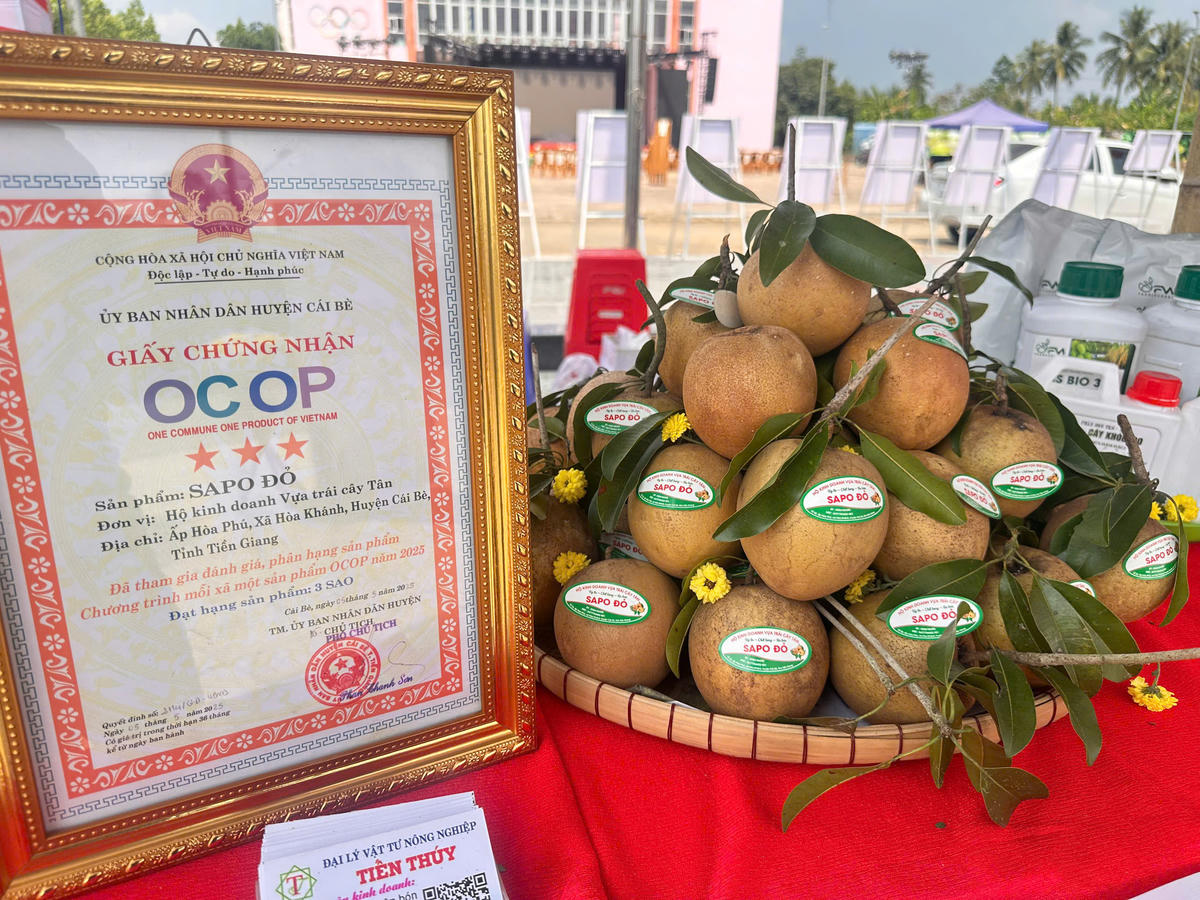 Sapo đỏ, sản phẩm chứng nhận 3 sao. Ảnh Trung Ngãi.&nbsp;&nbsp;