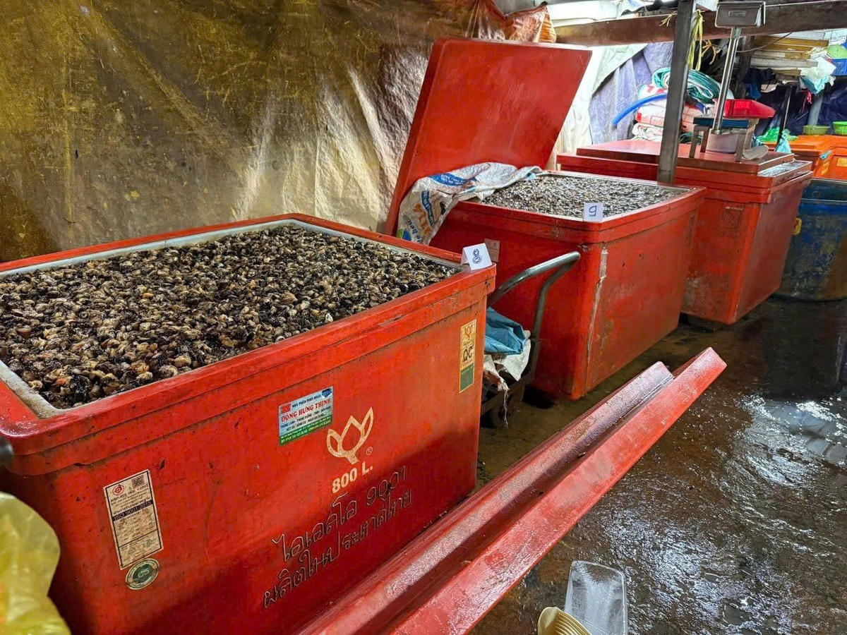 Hiện trường vụ việc được cơ quan công an phát hiện. Ảnh: CA.