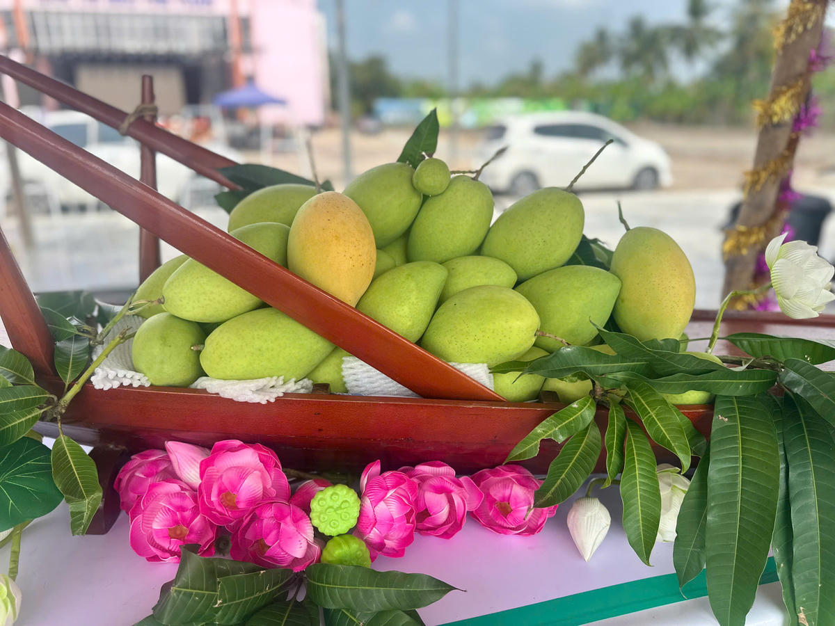 Đồng Tháp: 30 đơn vị tham gia Lễ hội Nông sản Phú Hựu lần thứ I năm 2026