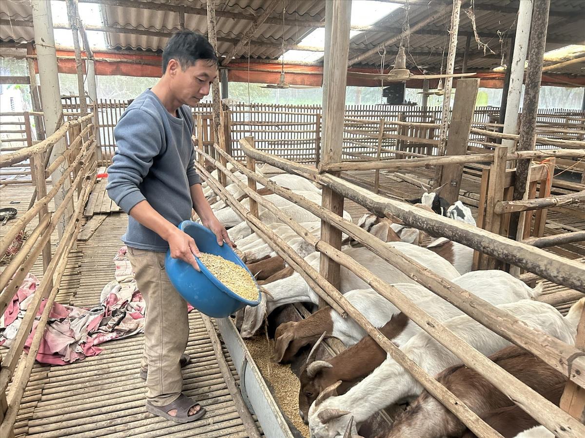 Nhiều mô hình kinh tế mới được người dân xã Yên Bình áp dụng