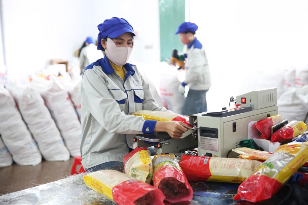 Công ty CP Thương mại và Dịch vụ Bình Liêu triển khai sản xuất&nbsp;100.000 sản phẩm miến để phục vụ thị trường trong dịp Tết.