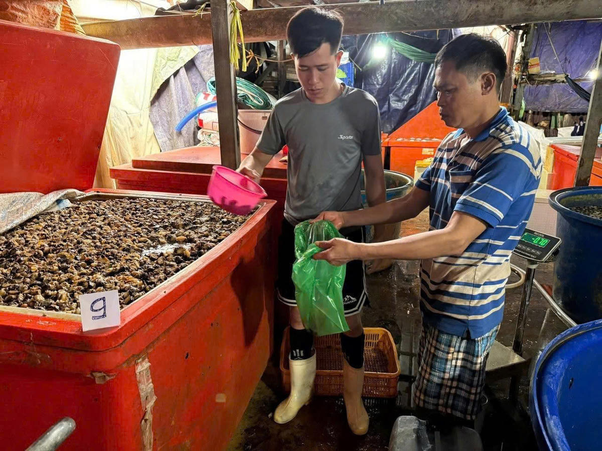 TP Hồ Chí Minh: Siết quản lý để chặn thực phẩm bẩn