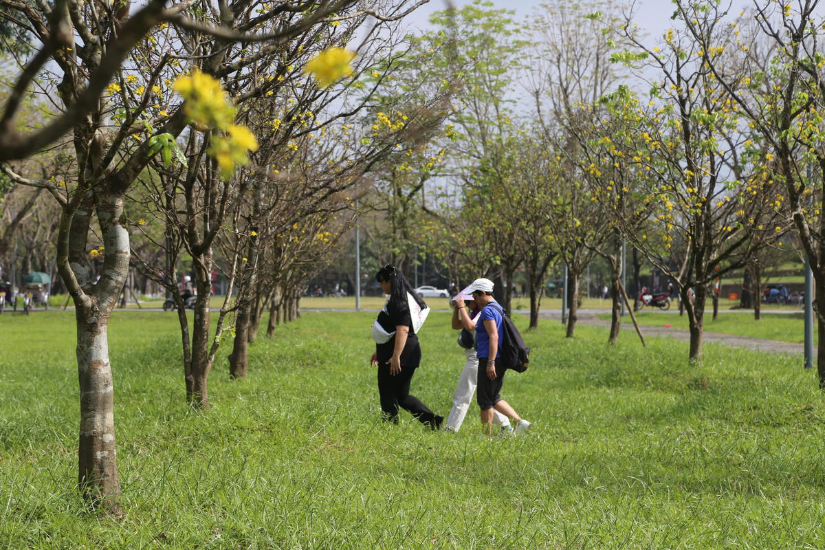 Những ngày qua, khu vực trước Đại Nội Huế trở nên nhộn nhịp hơn, khi người dân và du khách tranh thủ dạo bước, thưởng hoa, cảm nhận không khí ấm áp, khi mùa xuân “đến sớm”. Ảnh: N.Q.