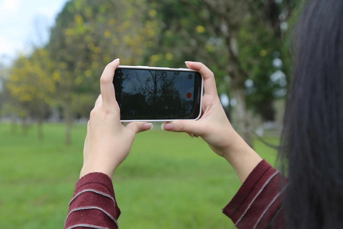 Nhiều du khách có tranh thủ lưu lại những khoảnh khắc đẹp ở khu vườn hoàng mai. Ảnh: N.Q.