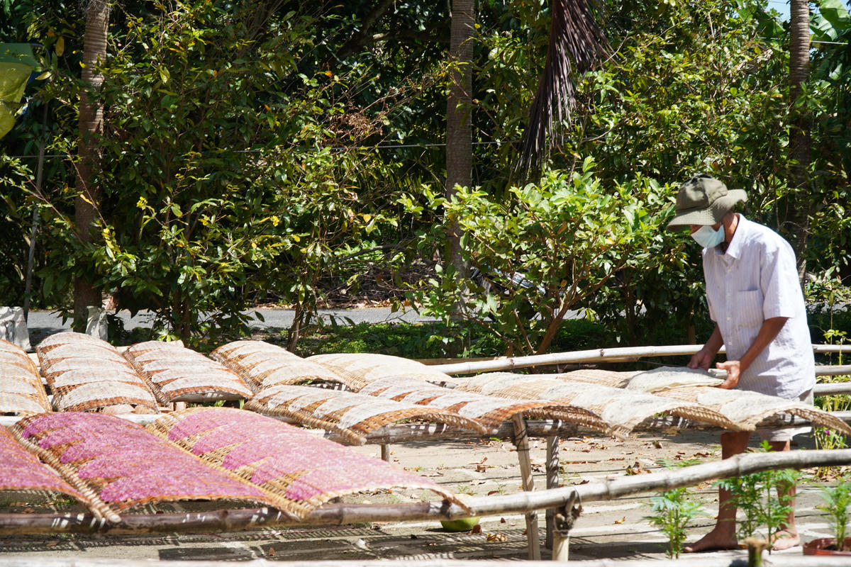 Người dân ở Cù Lao Mây tất bật phơi bánh tráng phục vụ thị trường cuối năm. Ảnh: Trung Ngãi.