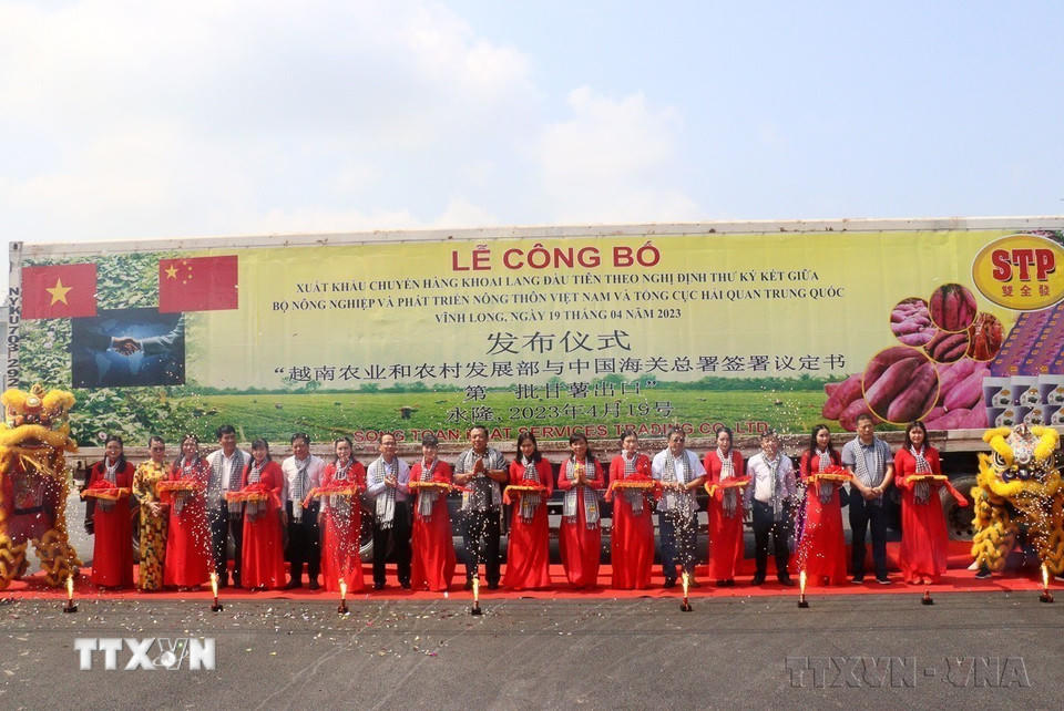Ủy ban Nhân dân tỉnh Vĩnh Long phối hợp với Cục Bảo vệ thực vật (Bộ Nông nghiệp và Phát triển Nông thôn) tổ chức Lễ công bố xuất khẩu chuyến hàng khoai lang đầu tiên của Việt Nam sang thị trường Trung Quốc. (Ảnh: Lê Thúy Hằng/TTXVN)