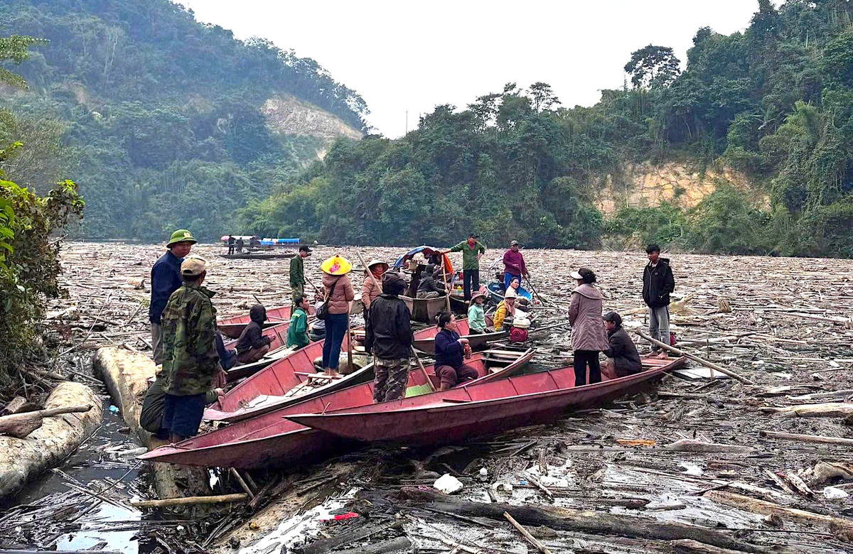 Rác gỗ vây kín lòng hồ thủy điện