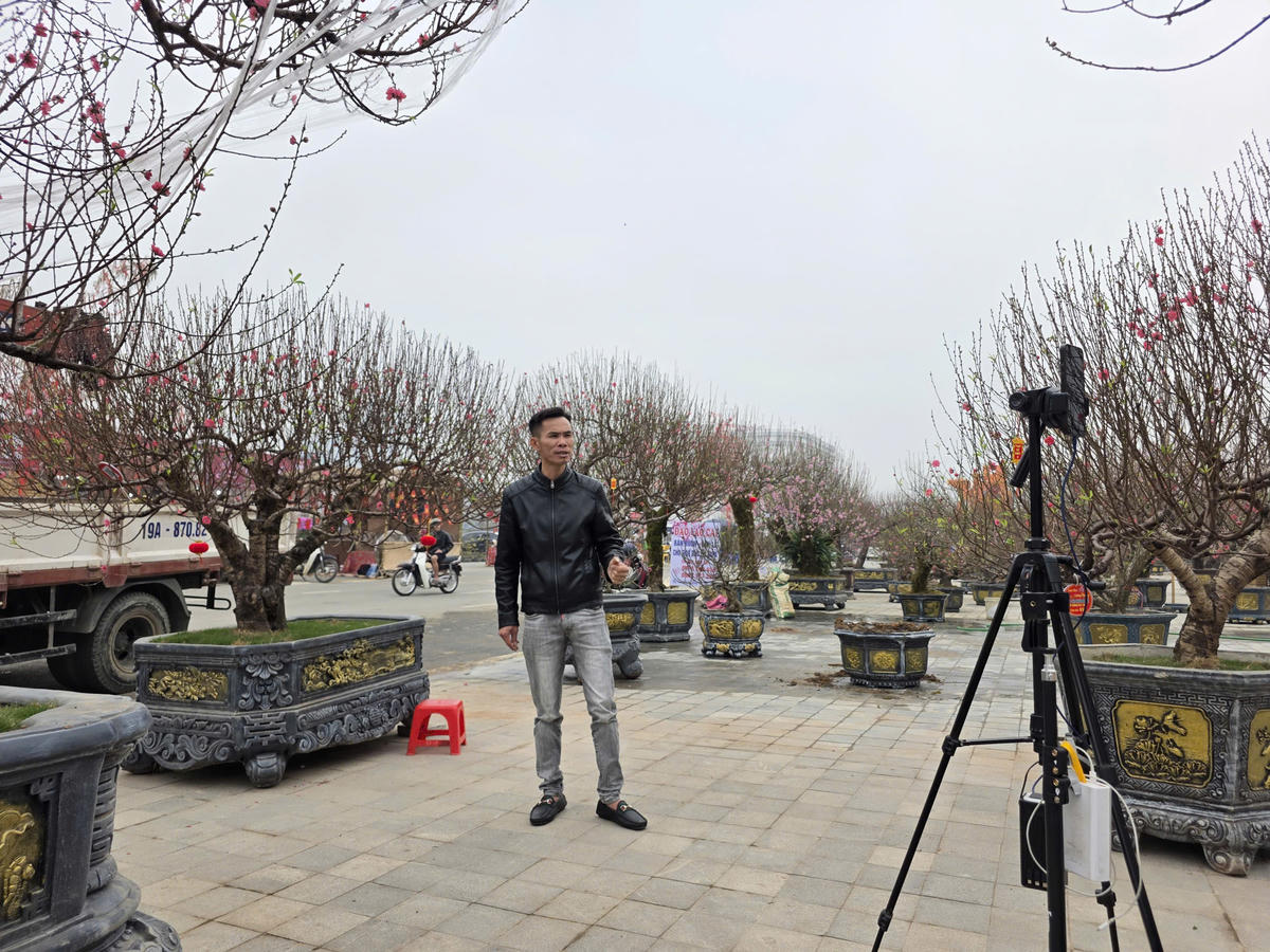 Anh Mạnh đang livestream để bán đào. Ảnh: Tuấn Trung.