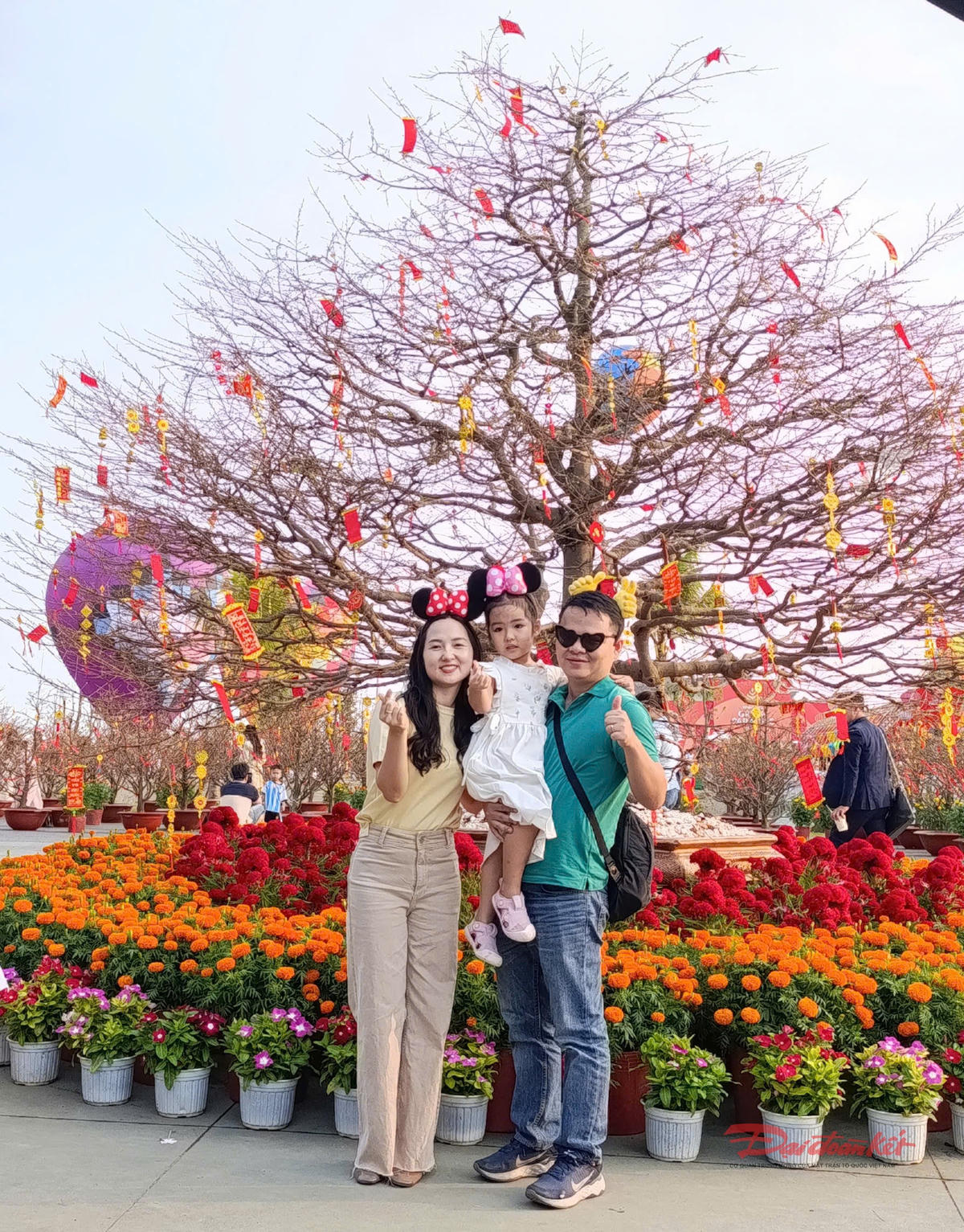 Người dân check-in bên cây mai Phú Quý cổ thụ hơn 150 năm tuổi, được vận chuyển từ An Giang vào TP Hồ Chí Minh để trưng bày tại trung tâm Lễ hội. Ảnh: Hồng Phúc.