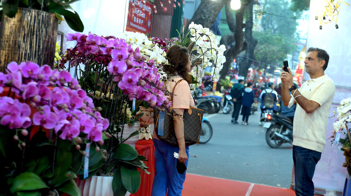 Không gian hoa lan trở thành điểm nhấn nổi bật của chợ hoa Xuân phố cổ 2026, thu hút đông đảo du khách quốc tế dừng chân tham quan, chụp ảnh check-in và cảm nhận sắc xuân tinh tế giữa lòng phố cổ. Ảnh: Phạm Sỹ.