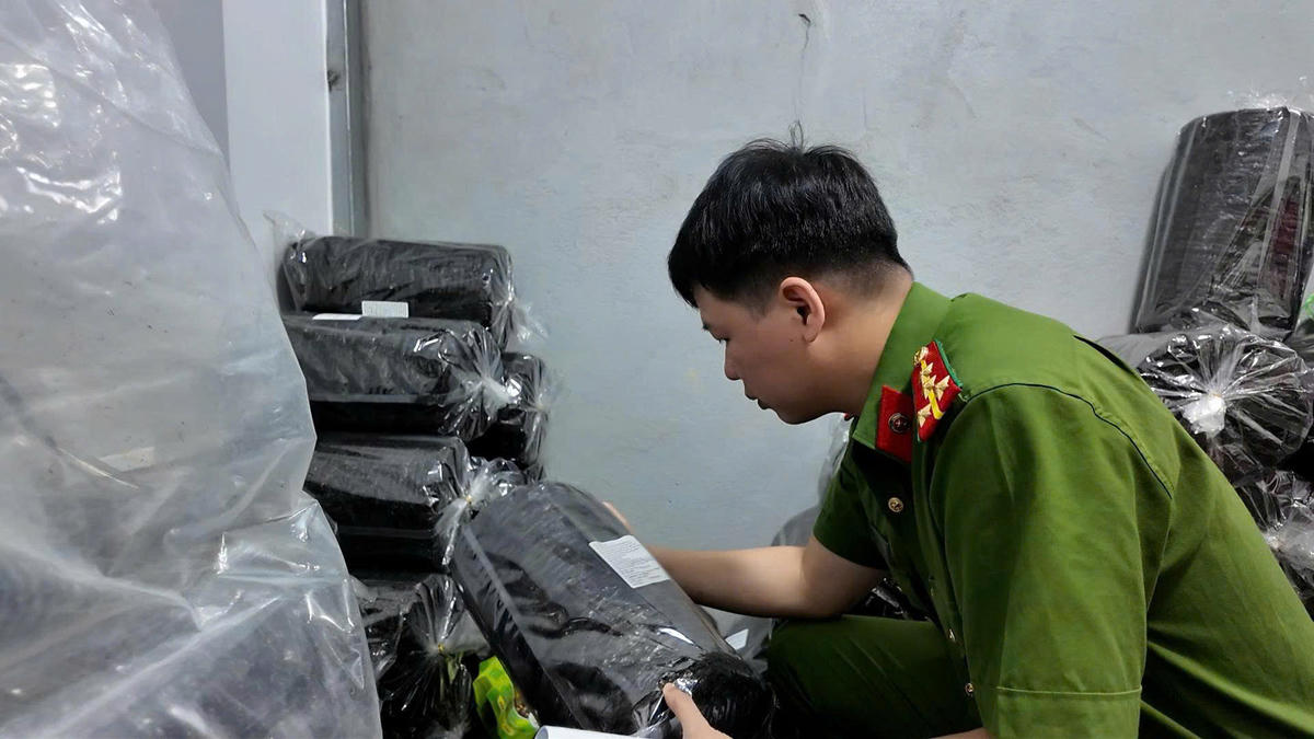 Lực lượng Công an TP Đà Nẵng thu giữ số rong biển khô giả. Ảnh: CV.