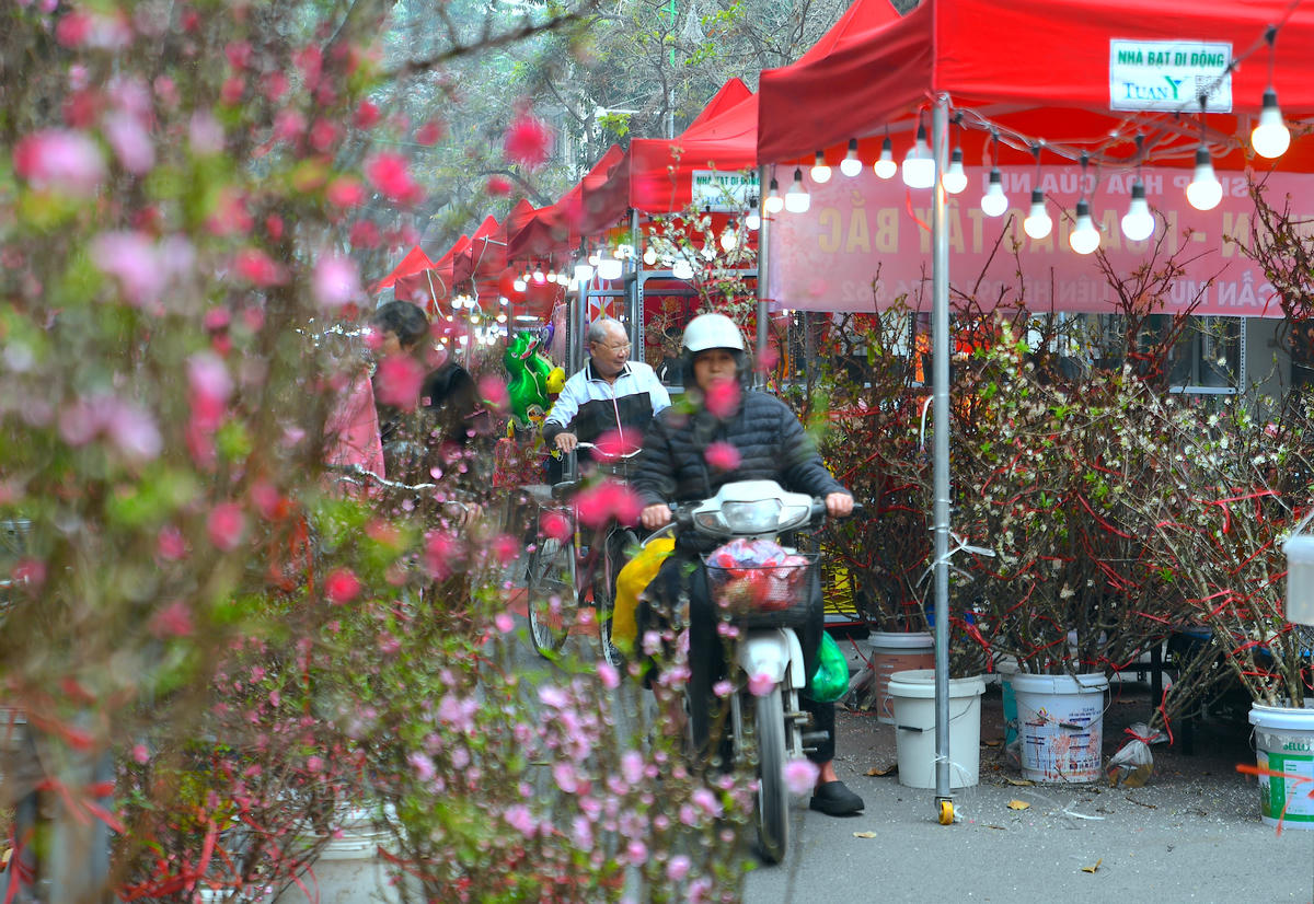 Người dân thong thả lựa chọn hoa, cây cảnh trong không gian phố cổ. Ảnh: Phạm Sỹ.