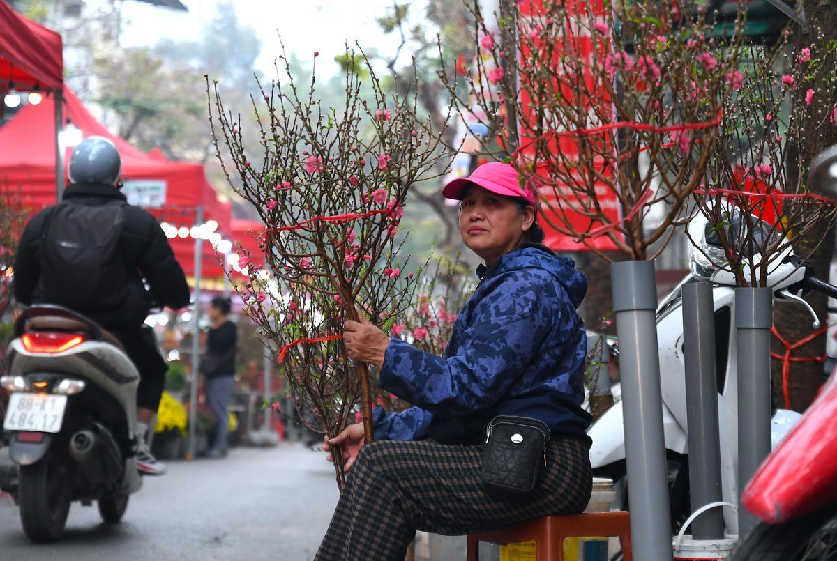 Chợ hoa Xuân Phố cổ 2026 được tổ chức nhằm giữ gìn, phát huy bản sắc văn hóa dân tộc, tôn vinh những nét đẹp văn hóa trong đời sống nhân dân phố cổ Hà Nội và góp phần nâng cao đời sống tinh thần, tạo không khí phấn khởi, vui tươi đón Tết Bính Ngọ năm 2026. Chợ hoa sẽ diễn ra cho đến ngày 16/2 (29/12 âm lịch). Ảnh: Phạm Sỹ.