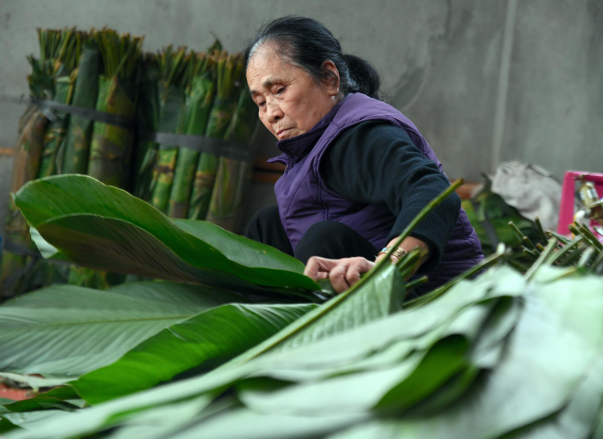 Những chiếc lá đạt tiêu chuẩn sau khi lựa chọn sẽ được rửa sạch, để ráo nước rồi xếp ngay ngắn, sẵn sàng cho công đoạn gói bánh chưng. Ảnh: Phạm Sỹ.. 