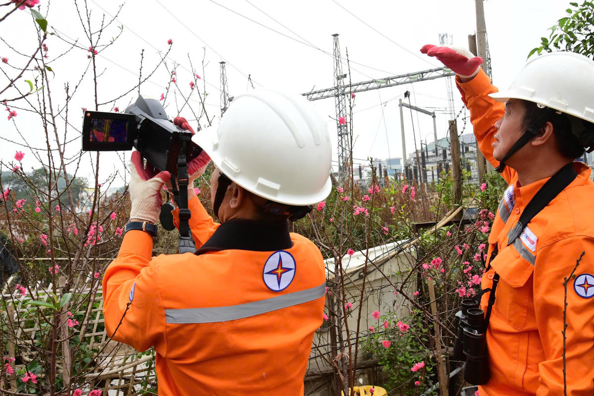 Rà soát hành lang lưới điện