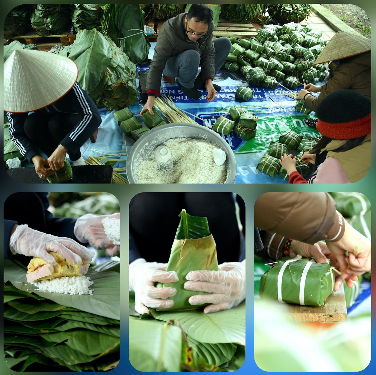 Mỗi người đảm nhận một công đoạn, người gói bánh, người buộc lạt, thao tác nối tiếp nhịp nhàng, thuần thục. Chính sự ăn ý ấy tạo nên dây chuyền làm việc hiệu quả, cho ra những chiếc bánh chưng vuông vức, đầy đặn và bảo đảm chất lượng. Ảnh: Phạm Sỹ.. 