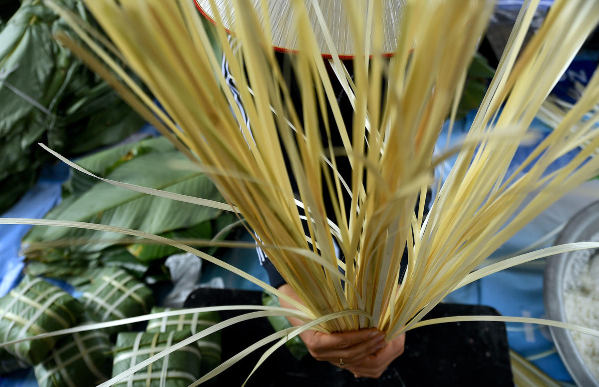 Từng sợi lạt dùng để gói bánh được đôi bàn tay khéo léo của người thợ chẻ đều, chọn lựa và chuẩn bị cẩn thận. Đây là một trong những công đoạn quan trọng, giúp những chiếc bánh chưng Tranh Khúc luôn vuông vức và đẹp mắt. Ảnh: Phạm Sỹ.. 