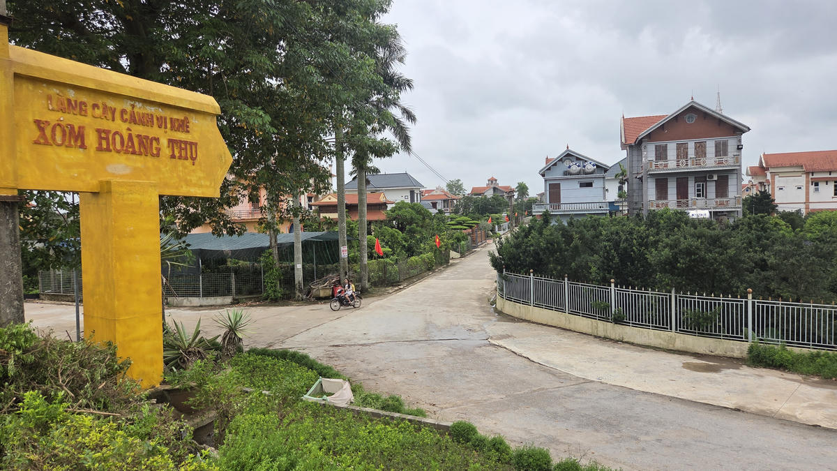 Làng hoa cây cảnh Vị Khê nhìn từ đê sông Hồng. Ảnh: Duy Hưng