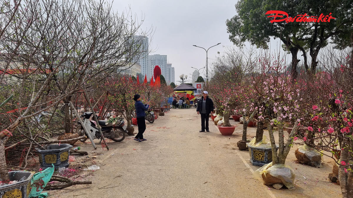 Chợ hoa Tết lớn nhất Thái Nguyên được bố trí tại khu vực quảng trường Võ Nguyên Giáp, kéo dài theo đường Hùng Vương và đường Đội Cấn, thuộc phường Phan Đình Phùng. Ảnh: Anh Toán.