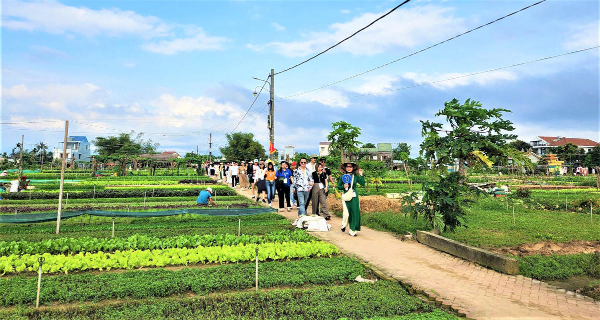 Mầm xanh trở lại nơi rốn lũ