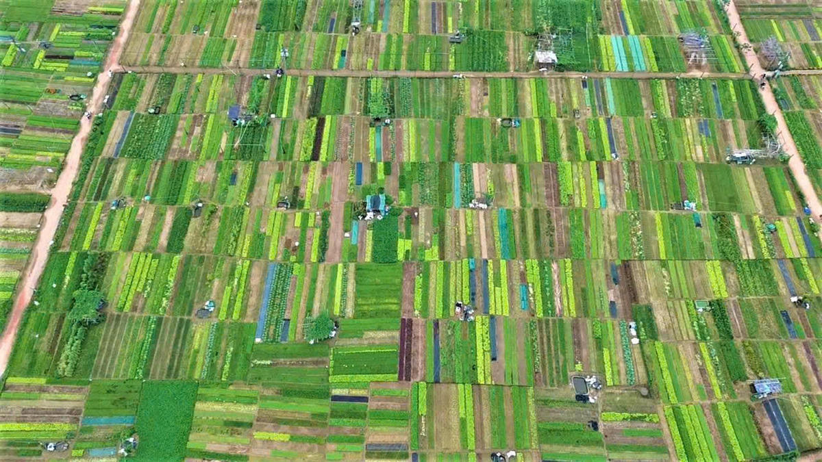 Mầm xanh trở lại nơi rốn lũ