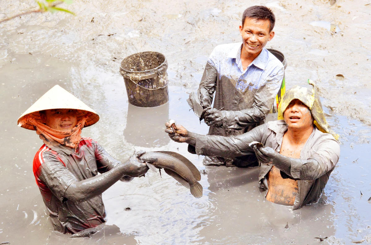 Niềm vui tát đìa.