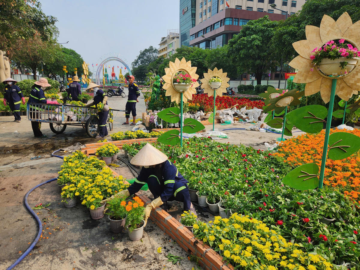 Các chậu hoa tươi cũng được vận chuyển đến nhằm tăng thêm nét đẹp rực rỡ cho Đường hoa. Ảnh: M.L