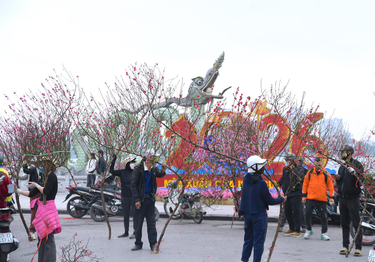 Người bán hồ hởi chào mời, người mua tỉ mỉ chọn lựa, mặc cả. Ảnh: Phạm Sỹ.