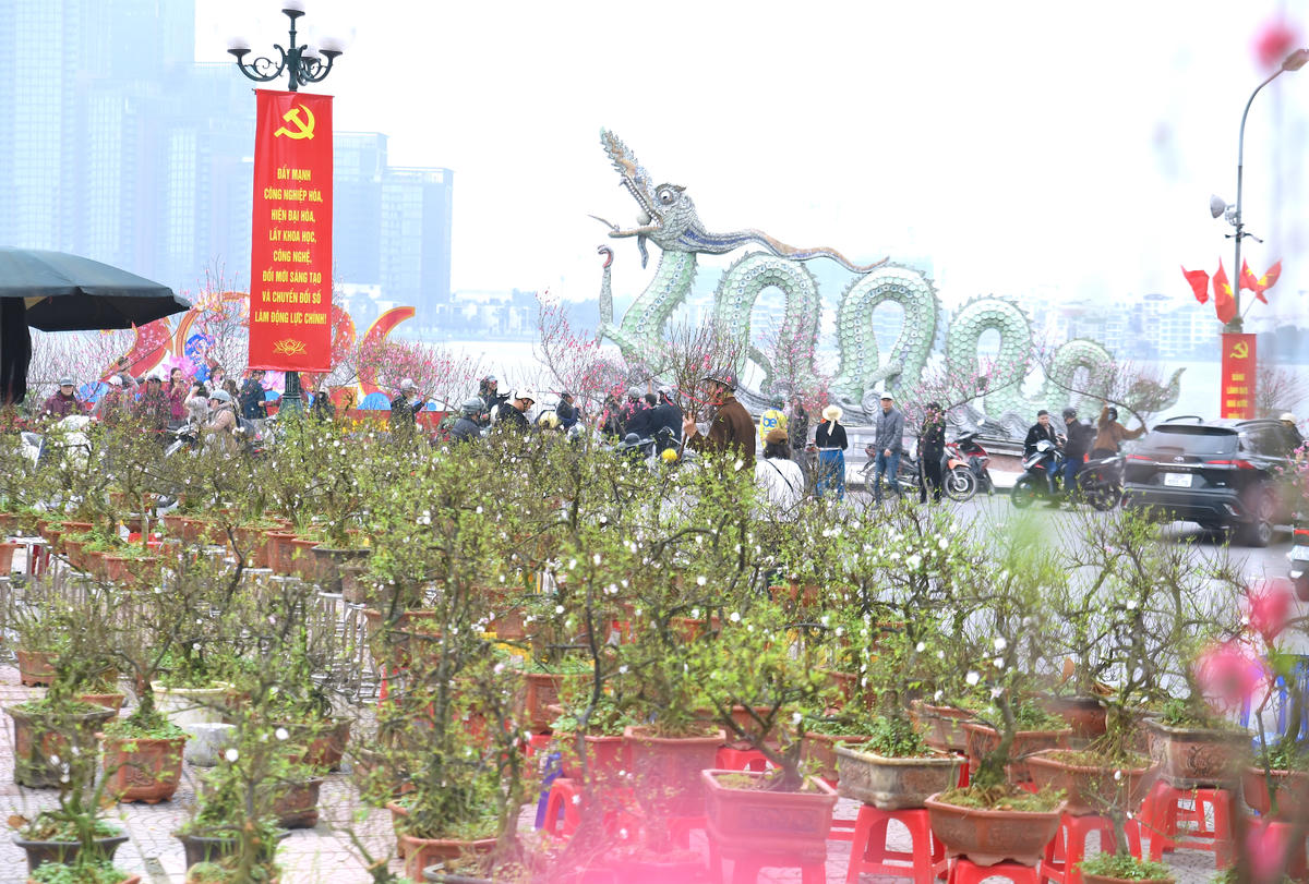 Mỗi chậu cây, mỗi cành hoa đều gửi gắm ước mong năm mới đủ đầy, hanh thông. Ảnh: Phạm Sỹ.